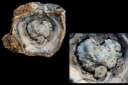 agate geode0004.jpg